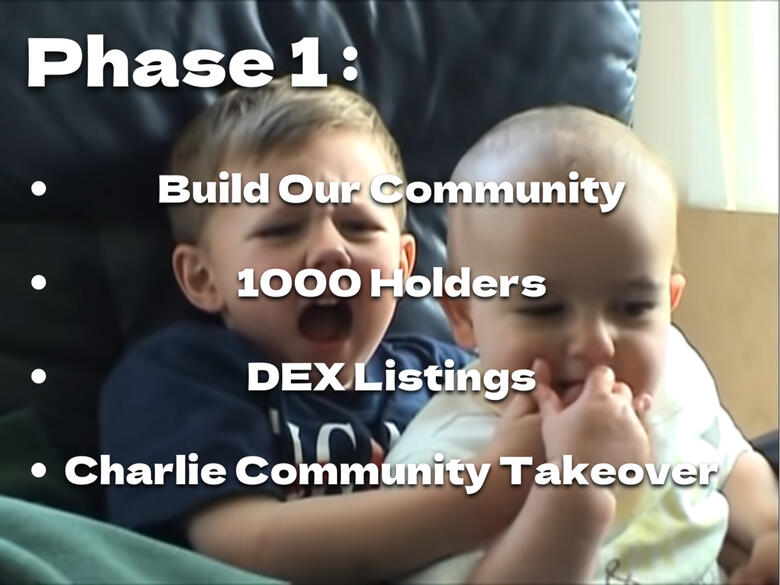 Build Our Community 1000 holders DEX listings Charlie Community Takeover